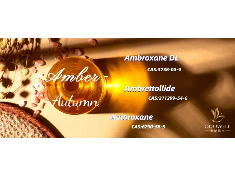 ກິ່ນຫອມສູງສຸດແມ່ນຫຍັງສູງສຸດສໍາລັບປີ 2025