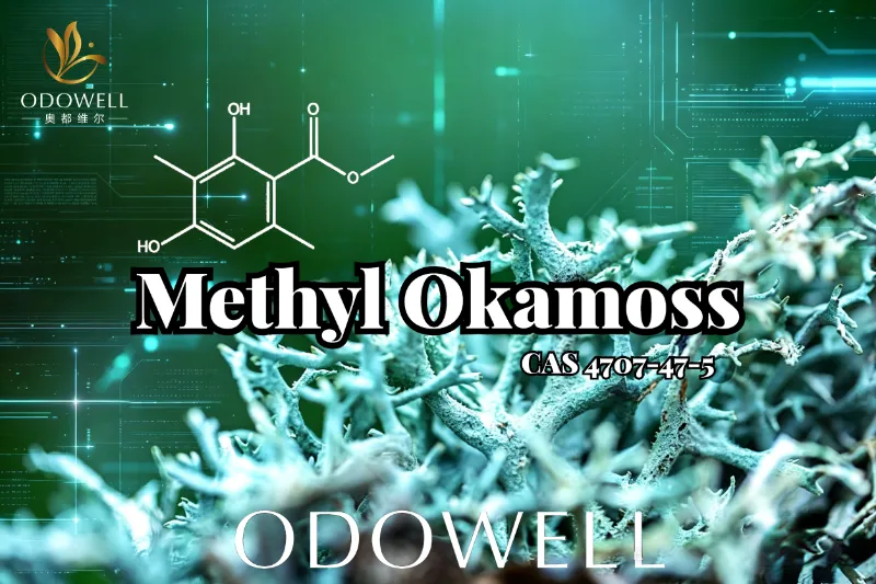 ODOWELL ແນະນໍາ Methyl Okamoss: Oakmoss ສັງເຄາະແທ້ຈິງສໍາລັບ Chypre ແລະ Fougère Mastery