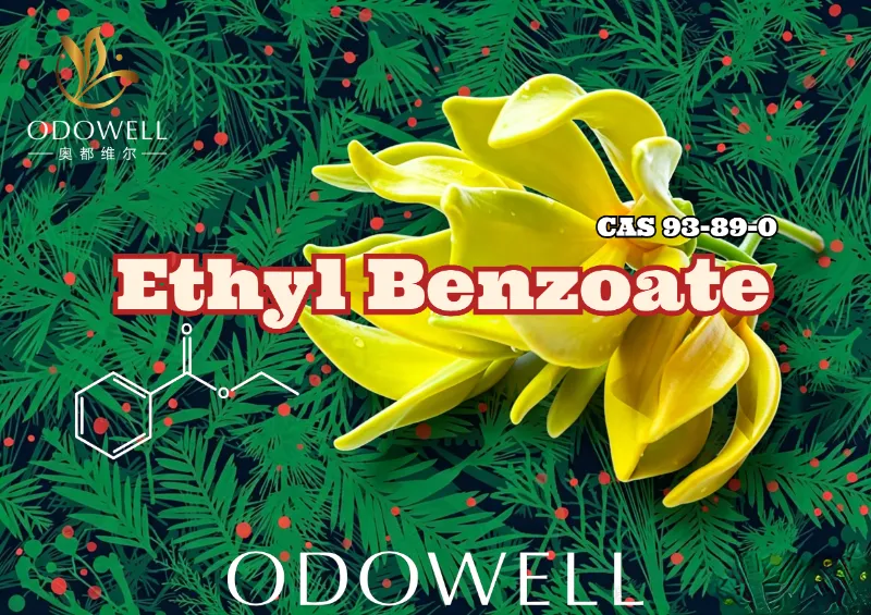 ODOWELL ເປີດຕົວ Ethyl Benzoate: Ester Wintergreen-Ylang ທີ່ອົບອຸ່ນເພື່ອຄວາມສະຫງ່າງາມຂອງດອກໄມ້ແລະຕາເວັນອອກ