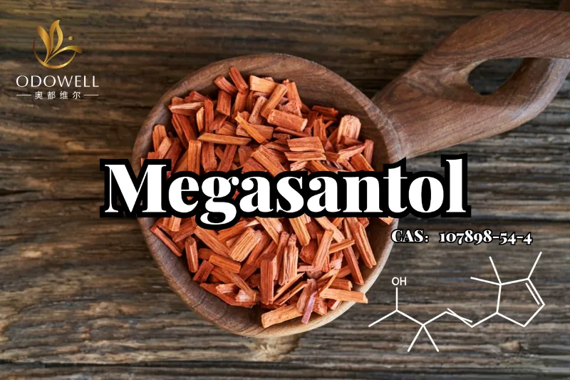 ODOWELL ແນະນໍາ Megasantol: ສ່ວນປະກອບຂອງໄມ້ Sandalwood ສັງເຄາະທີ່ມີປະສິດທິພາບສໍາລັບການອອກແບບນ້ໍາຫອມໄມ້ທີ່ທັນສະໄຫມ