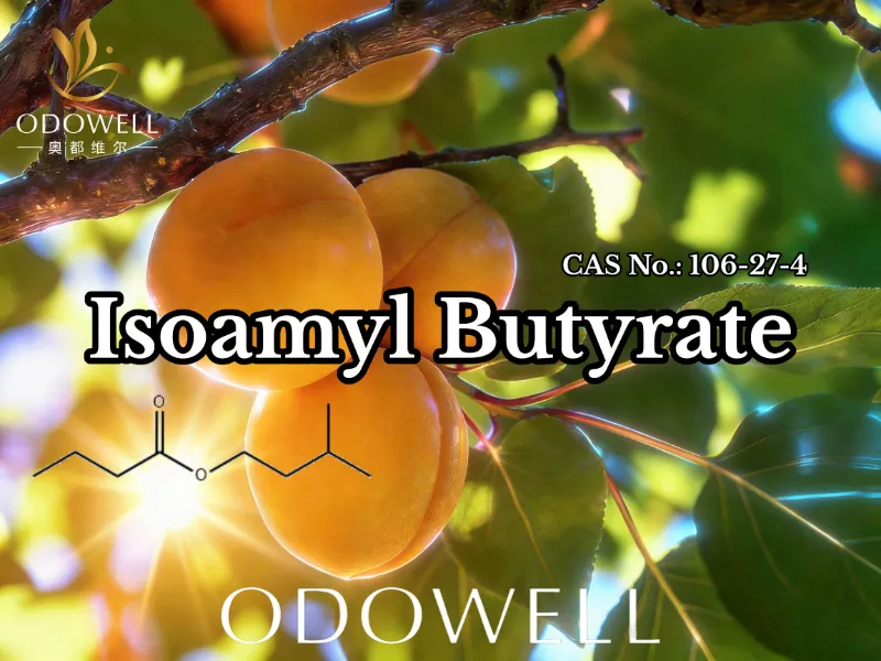 ODOWELL ແນະນໍາ Isoamyl Butyrate (CAS 106-27-4) ສໍາລັບການນໍາໃຊ້ລົດຊາດແລະກິ່ນຫອມ