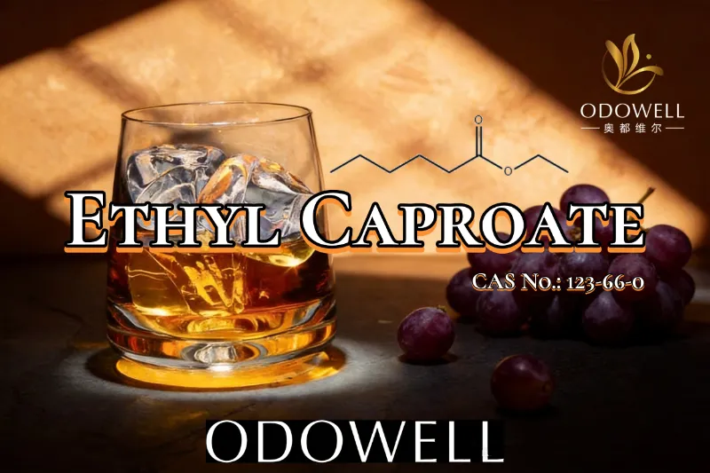 ODOWELL ແນະນໍາ Ethyl Caproate ສໍາລັບການນໍາໃຊ້ລົດຊາດຂອງຫມາກໄມ້ແລະເຫຼົ້າແວງ.