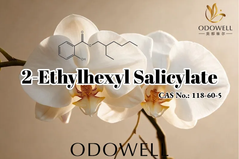 ODOWELL ແນະນໍາ 2-Ethylhexyl Salicylate ສໍາລັບເຄື່ອງຫອມ, ເຄື່ອງສໍາອາງ, ແລະຄໍາຮ້ອງສະຫມັກການດູແລສ່ວນບຸກຄົນ
