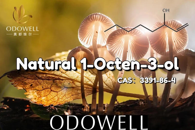 ODOWELL ແນະນໍາ 1-Octen-3-ol ທໍາມະຊາດສໍາລັບການນໍາໃຊ້ລົດຊາດຂອງເຫັດແລະໂລກ.