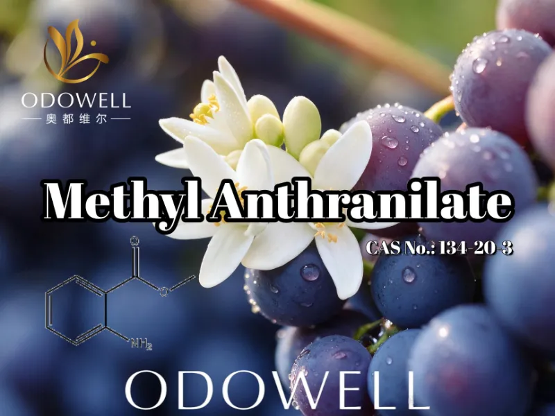 ODOWELL ແນະນໍາ Methyl Anthranilate ສໍາລັບ Grape, Orange Blossom, ແລະຄໍາຮ້ອງສະຫມັກ Neroli