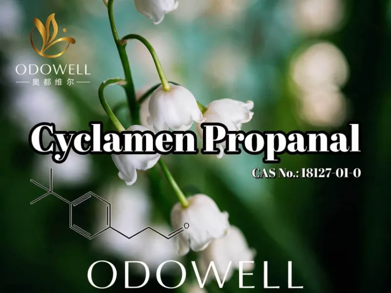 ODOWELL ແນະນໍາ Cyclamen Propanal ສໍາລັບຄໍາຮ້ອງສະຫມັກຂອງດອກໄມ້ສົດແລະນ້ໍາຫອມ Muguet