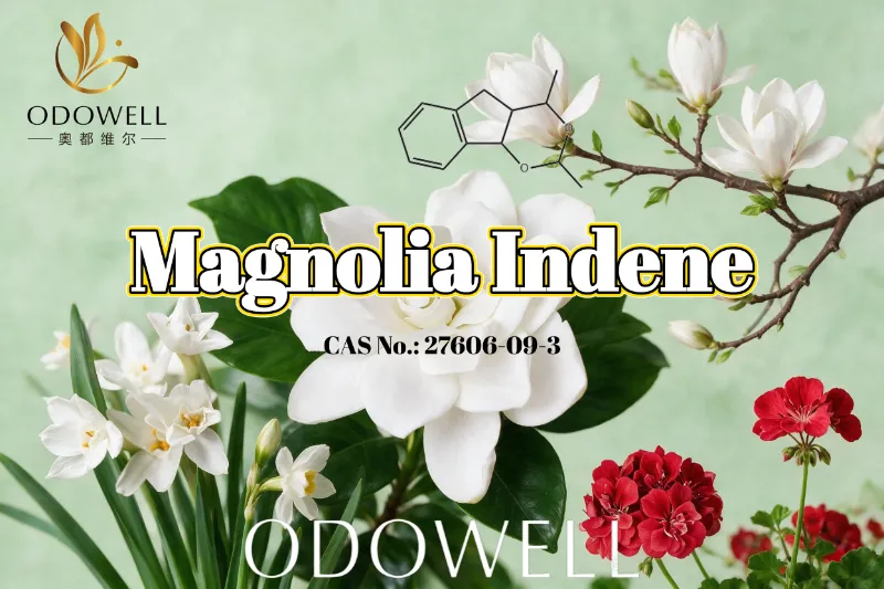ODOWELL ແນະນຳ Magnolia Indene ສຳລັບການໃຊ້ນ້ຳຫອມດອກໄມ້-ສີຂຽວ ແລະໝາກນາວ
