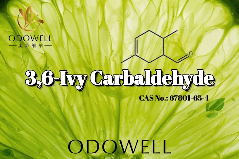 ODOWELL ແນະນໍາ 3,6-Ivy Carbaldehyde ສໍາລັບການນໍາໃຊ້ນ້ໍາຫອມຫມາກນາວສີຂຽວແລະ Tart.